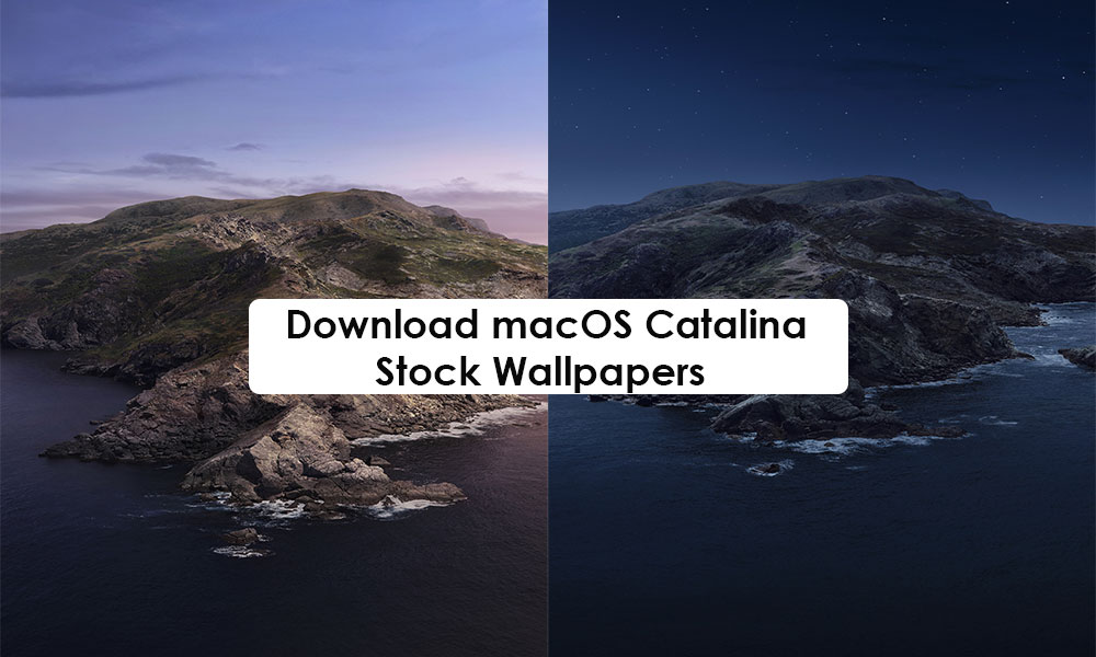Macos catalina app download